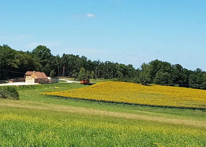 L'evidence Bed & Breakfast La Chapelle-Aubareil
